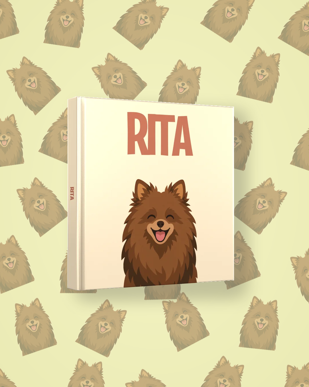 Pomeranian Brown — image 4