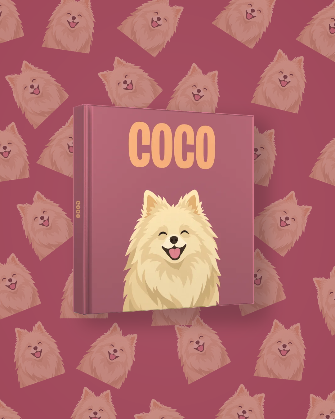 Pomeranian Champagne — image 4