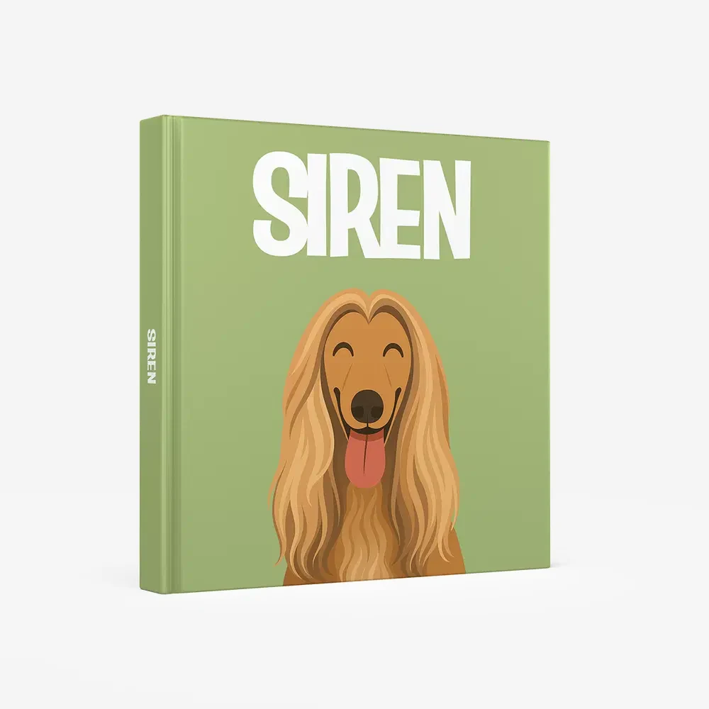 Afghan Hound