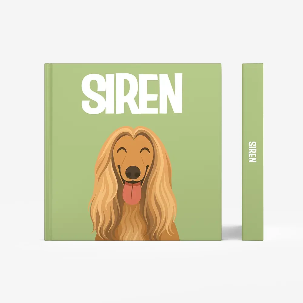 Afghan Hound — image 3