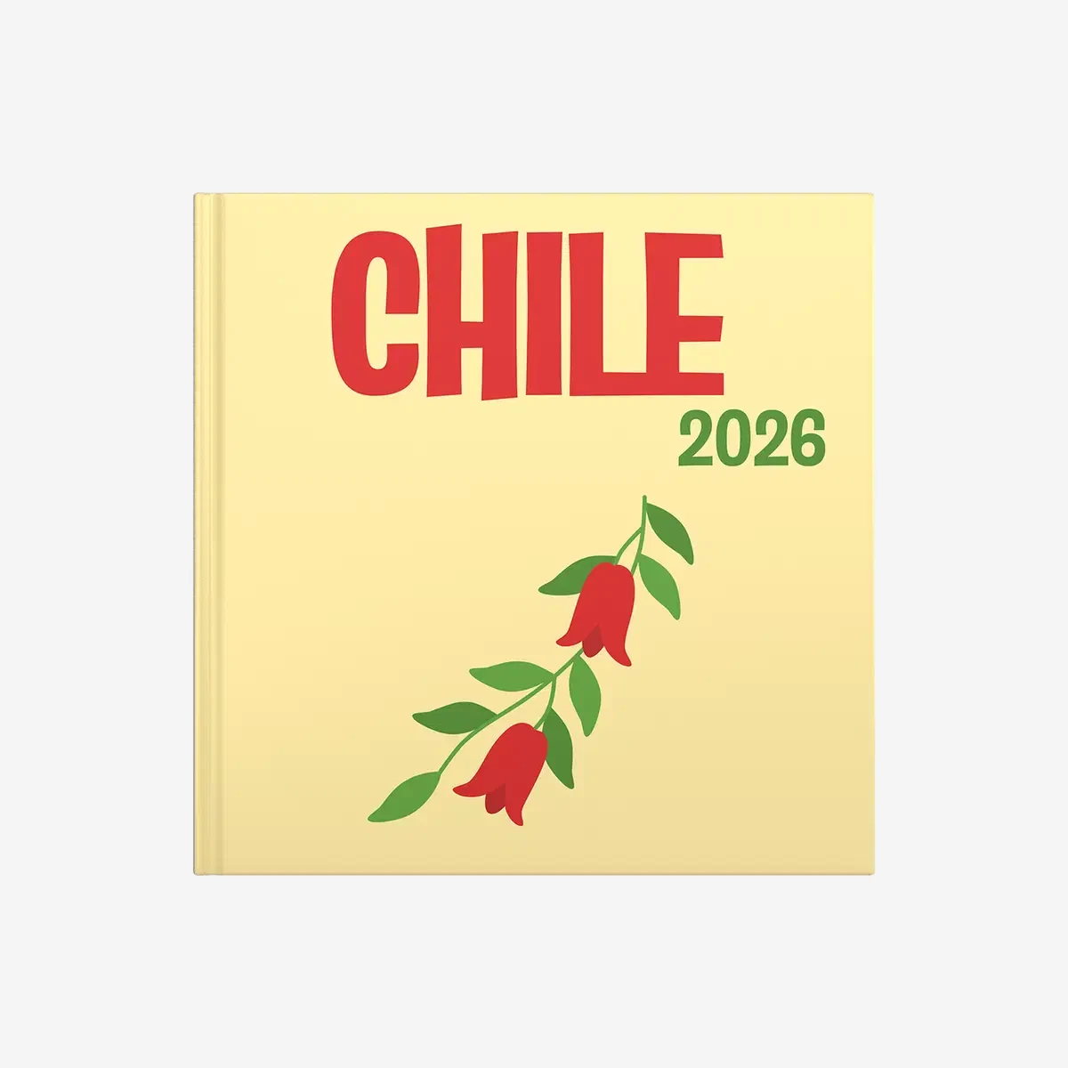 Chile — image 2
