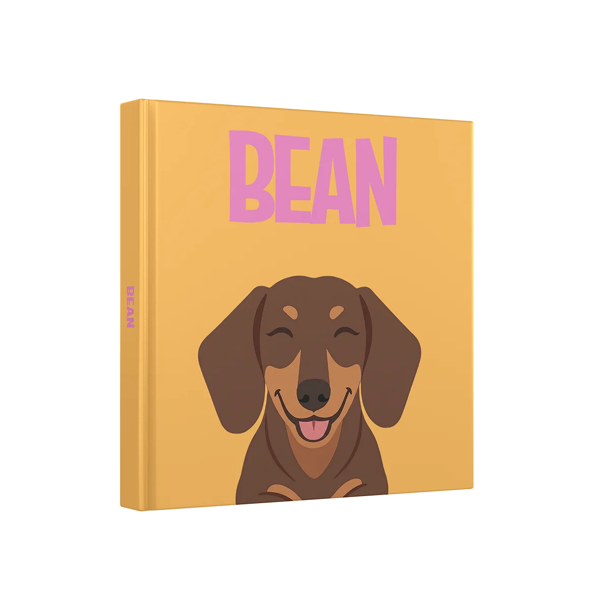 Dachshund 3 — image 1