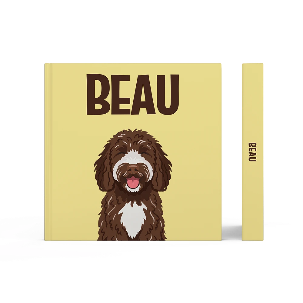 Labradoodle Chocolate — image 3