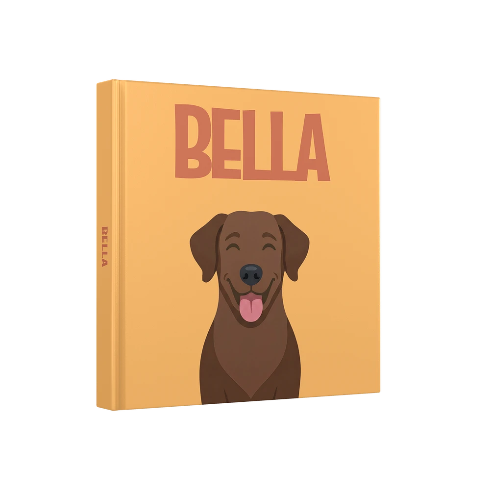 Labrador Chocolate