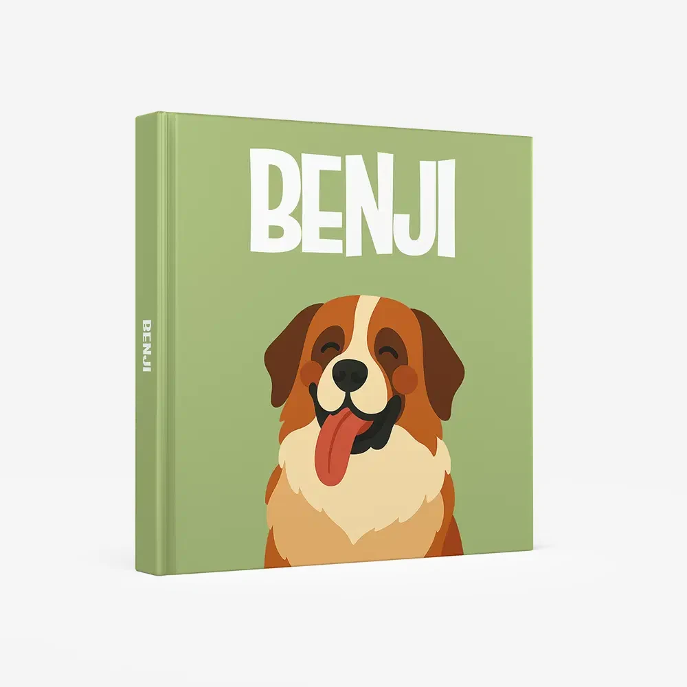 St Bernard