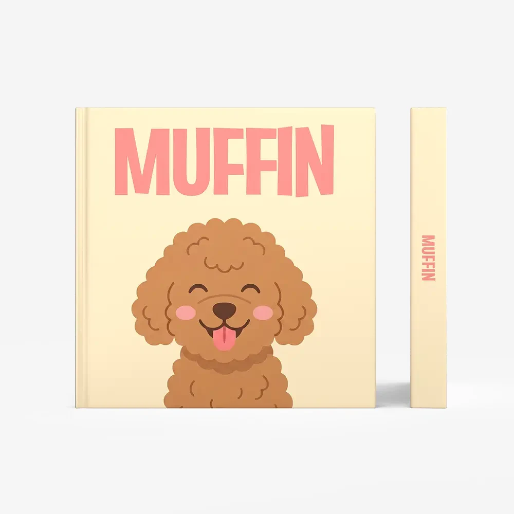 Toy Poodle — image 3