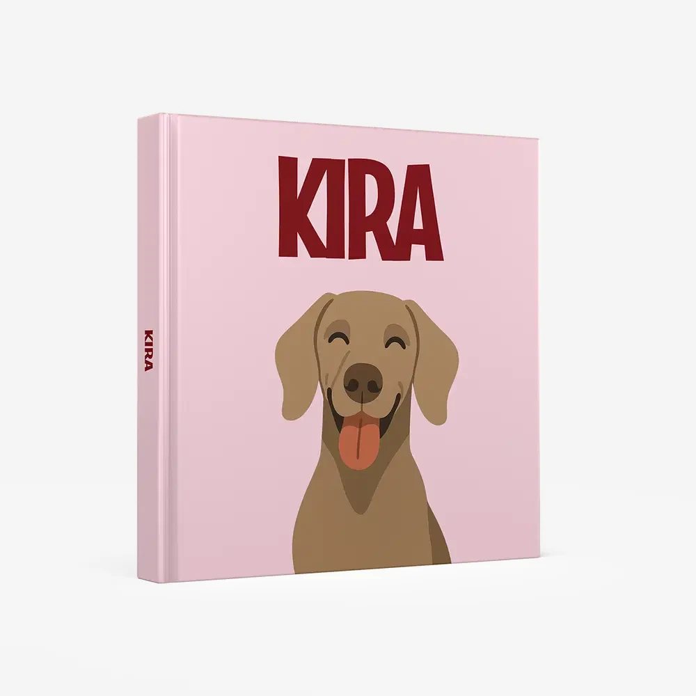Weimaraner