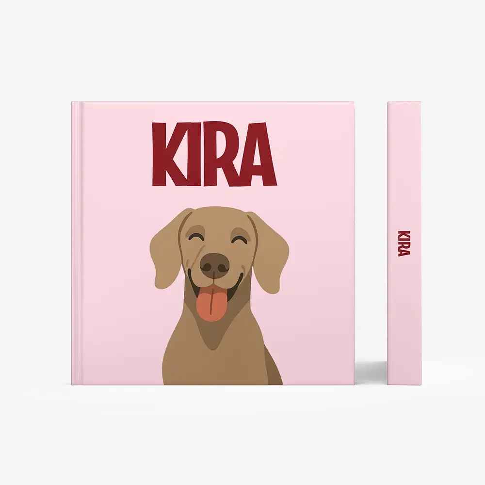 Weimaraner — image 3